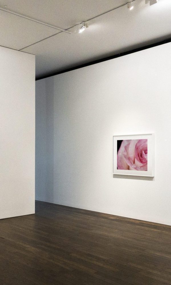 Collection of art pieces on a wall
